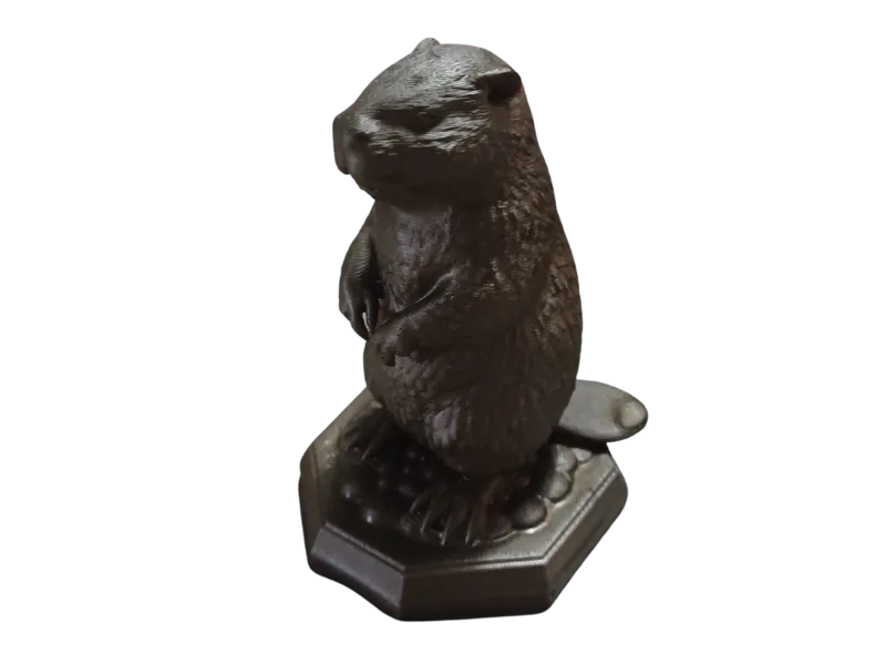 Beaver standing on rocks 