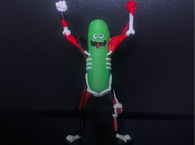 pickle rick rat suit model