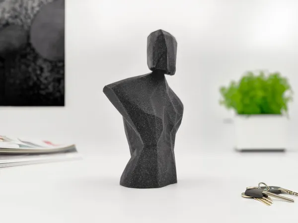https://makerworld.bblmw.com/makerworld/model/US2c13545decb8cb/design/2024-06-22_8a5a4898c5a15.jpg