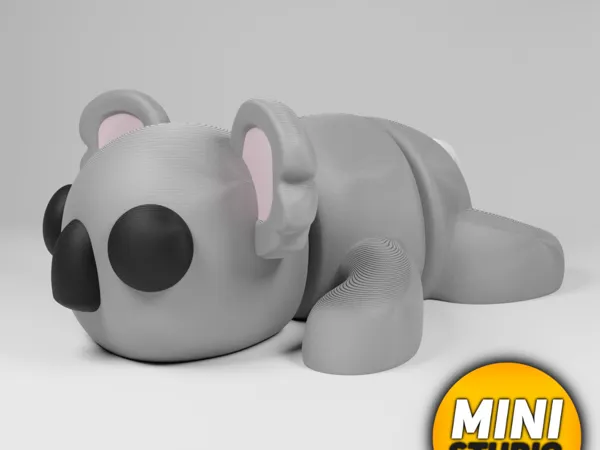 https://makerworld.bblmw.com/makerworld/model/US2c173b6a665275/design/2024-12-25_db9d91a376482.jpg