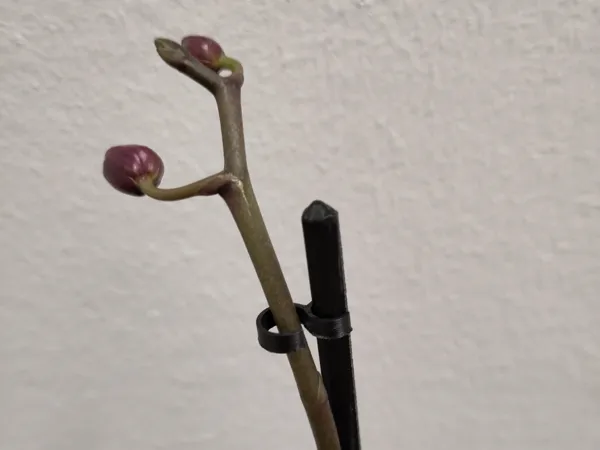 https://makerworld.bblmw.com/makerworld/model/US2c187644771fa9/design/2024-12-19_10cb0b5cda2e.jpg