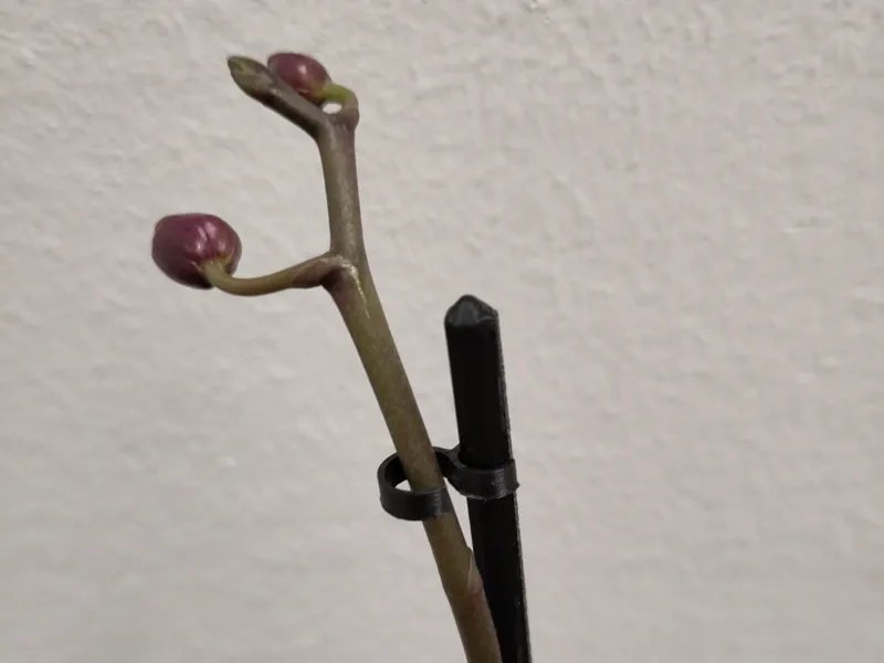 Orchid Stakes + Clips - 360mm (and more)