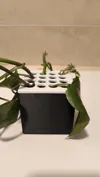 Double height - 0.2mm layer, 4 walls, 10% infill