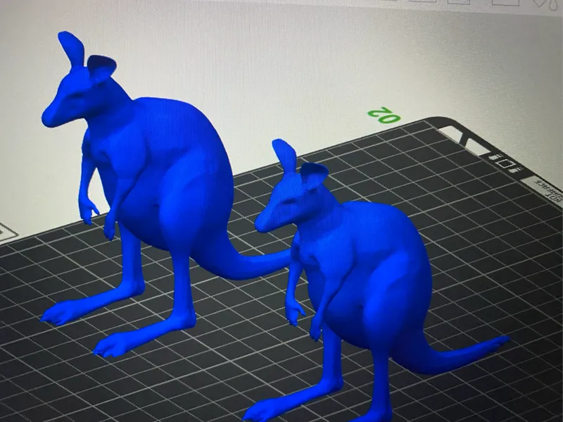 Kangaroo Big & small