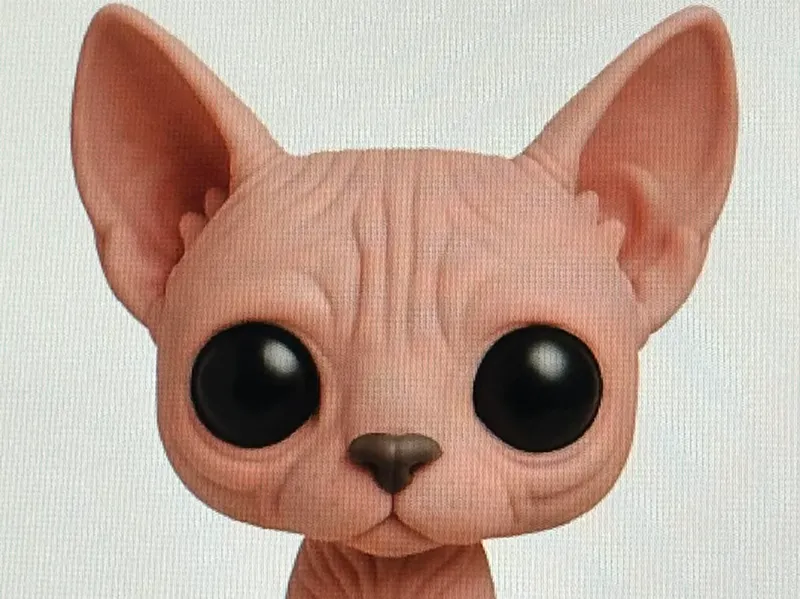 sphynx cat