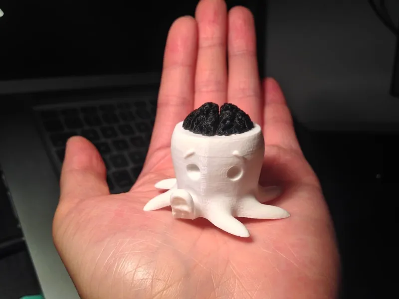 Cute Octopus Exposed Brains