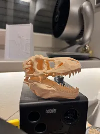 PETG 45% size 0.2mm layer, 2 walls, 5% infill