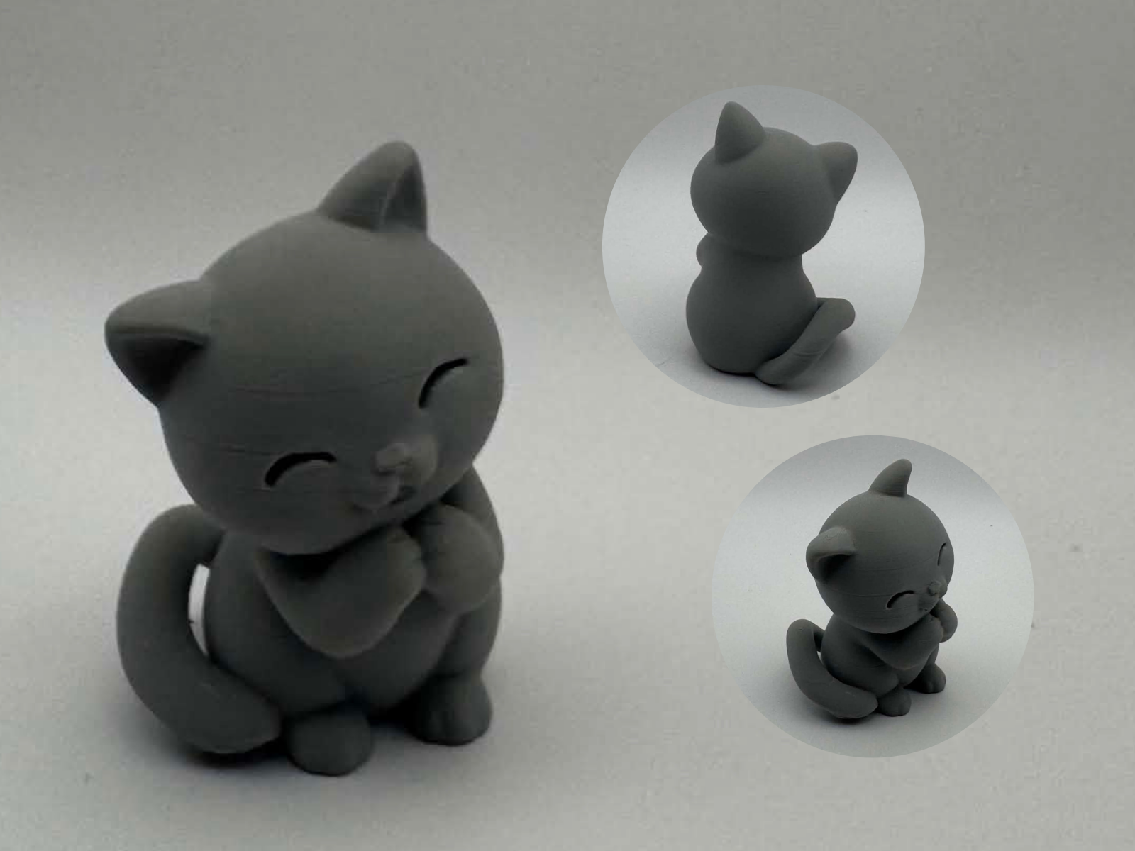 Sweet Paws Cat