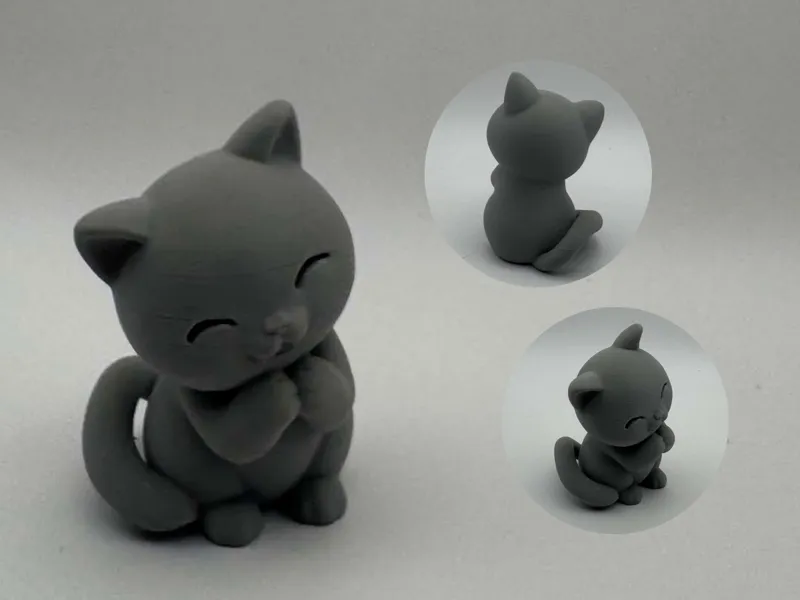 Sweet Paws Cat