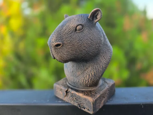 https://makerworld.bblmw.com/makerworld/model/US2c2a8183de1543/design/2025-06-21_75e84fe5540da8.jpg