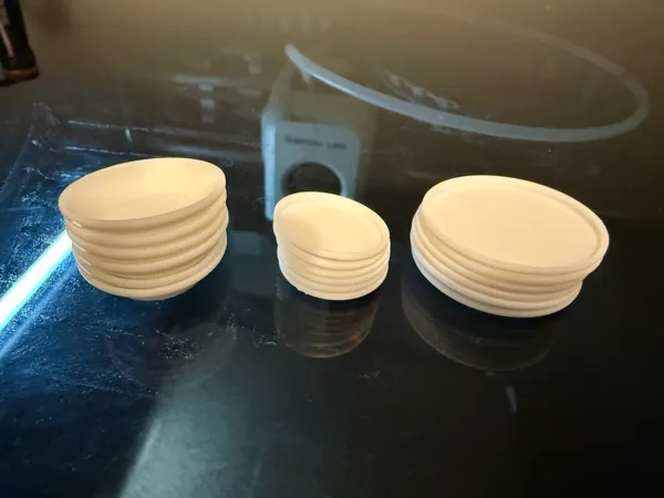 https://makerworld.bblmw.com/makerworld/model/US2c2ed121551bbb/design/53181e024404a729.jpeg