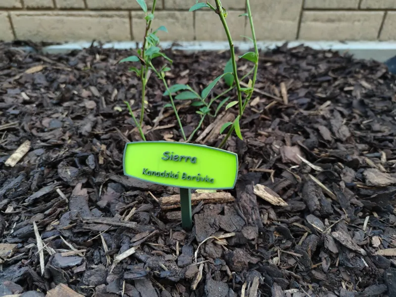 Plant Label