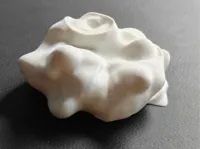 0.16mm layer, 2 walls, 15% infill