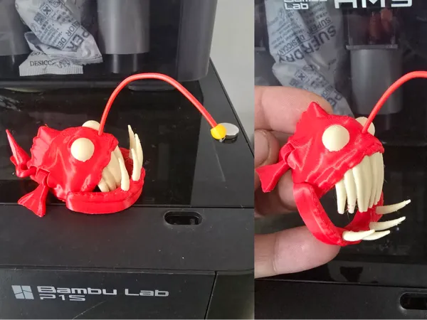 https://makerworld.bblmw.com/makerworld/model/US2c40390f832de5/design/2025-02-11_a5caef85b9ef8.jpg