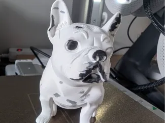 French Bulldog
