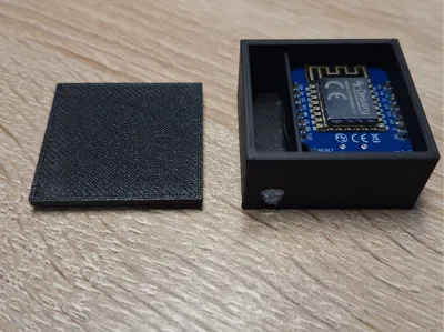 Case ESP 32