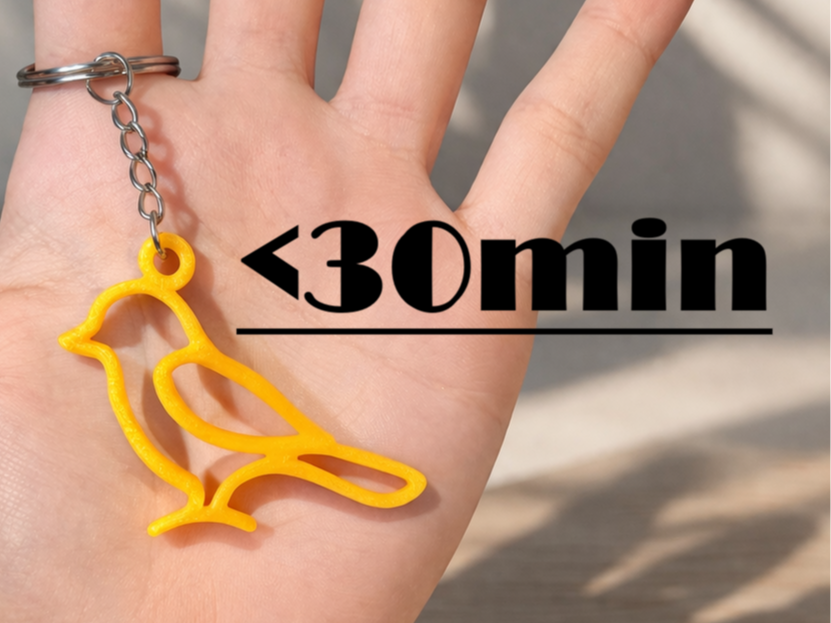 OneLine Bird Keychain – Student Art Collection