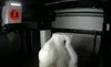 0.16mm layer, 2 walls, 8% infill