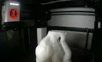 0.16mm layer, 2 walls, 8% infill