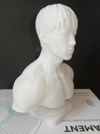 0.16mm layer, 2 walls, 8% infill