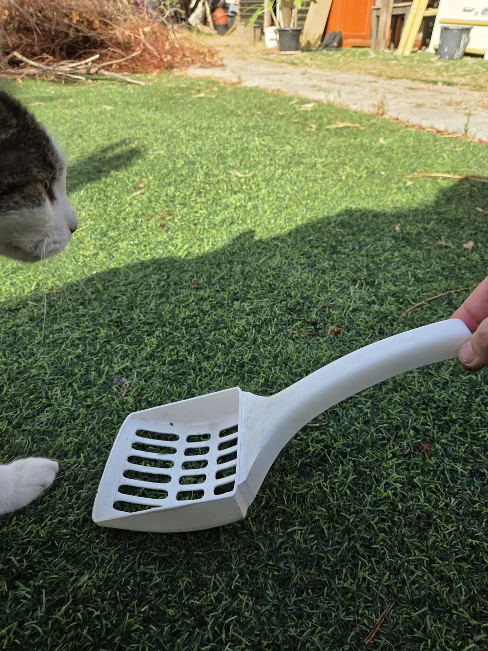 Cucharon Chef Cucharón ergonómico para arena de gato - Modelo de impresión 3D ...