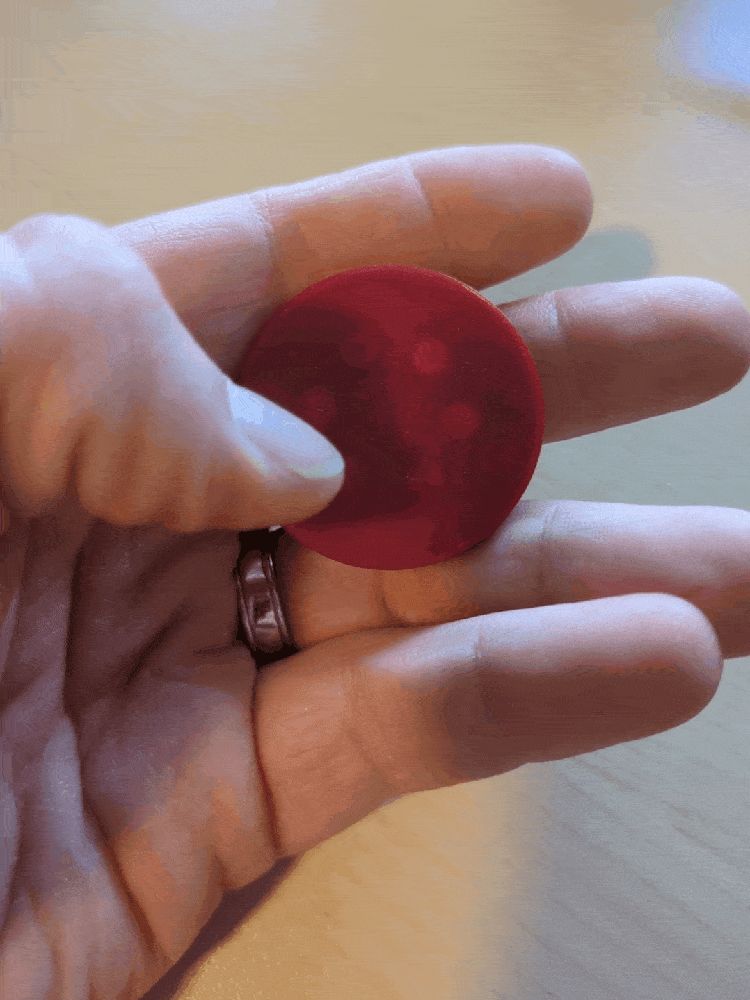 Reversible Magnetic Poker Chip Fidgets