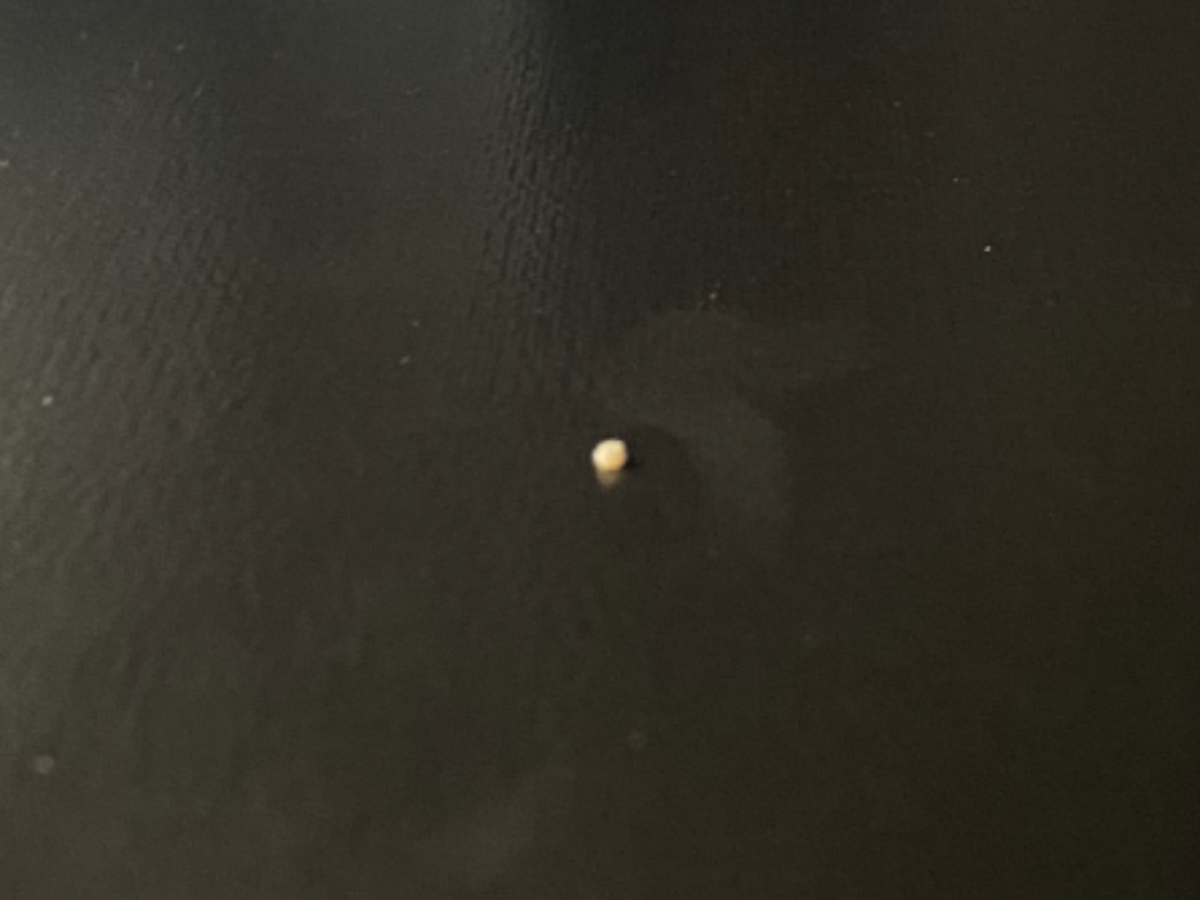 World's smallest print (0.4mm nozzle)