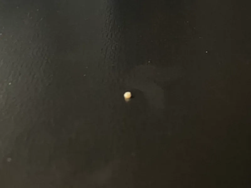 World's smallest print (0.4mm nozzle)