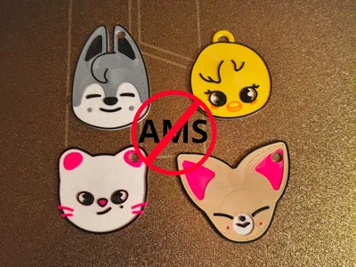 SKZOO keychains no AMS