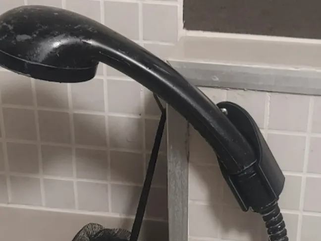 Shower mount