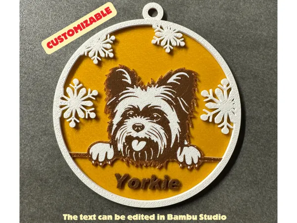 https://makerworld.bblmw.com/makerworld/model/US2c72bab4d16aa9/design/2024-12-04_bbe6f872fc47e.png