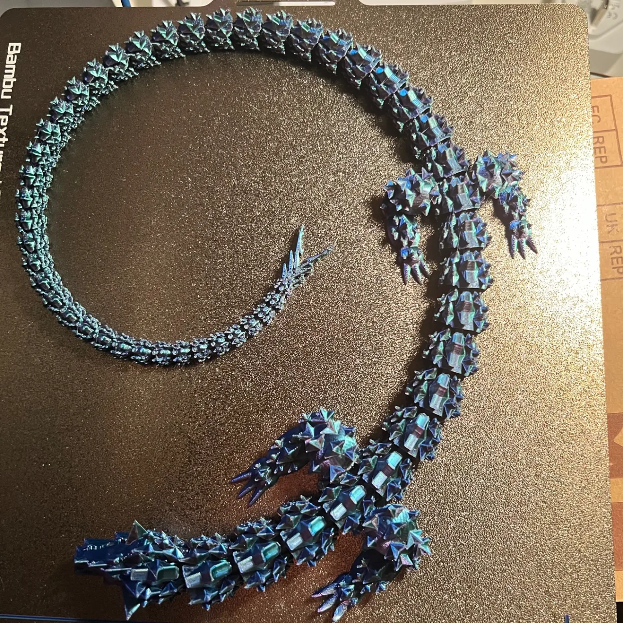 Star Dragon view 3