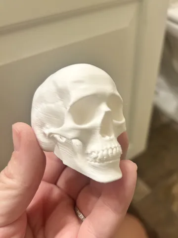 Adorno temático: Potty Pal - Skull — vista de referencia 3