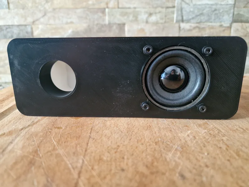 speaker box module