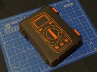 PLA, 2 Colour AMS with Illustation