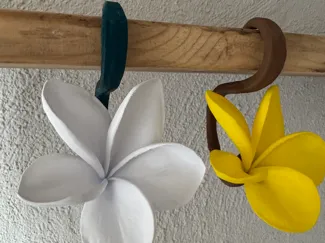 hängender Zweig mit Blüte