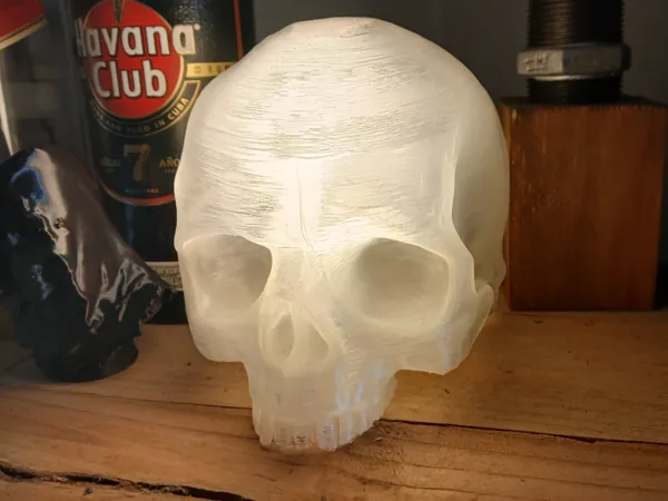 https://makerworld.bblmw.com/makerworld/model/US2c7b3759894091/design/2025-08-12_be16a58bc951c8.jpg
