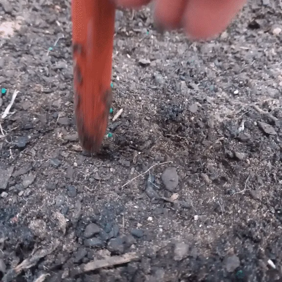 Plantoir de jardin