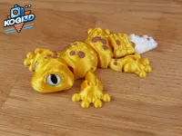 V3 – Multicolor gecko prepared for 8mm glass eyes
