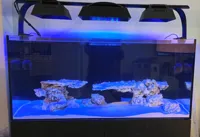 0.2mm layer, 2 walls, 20% infill