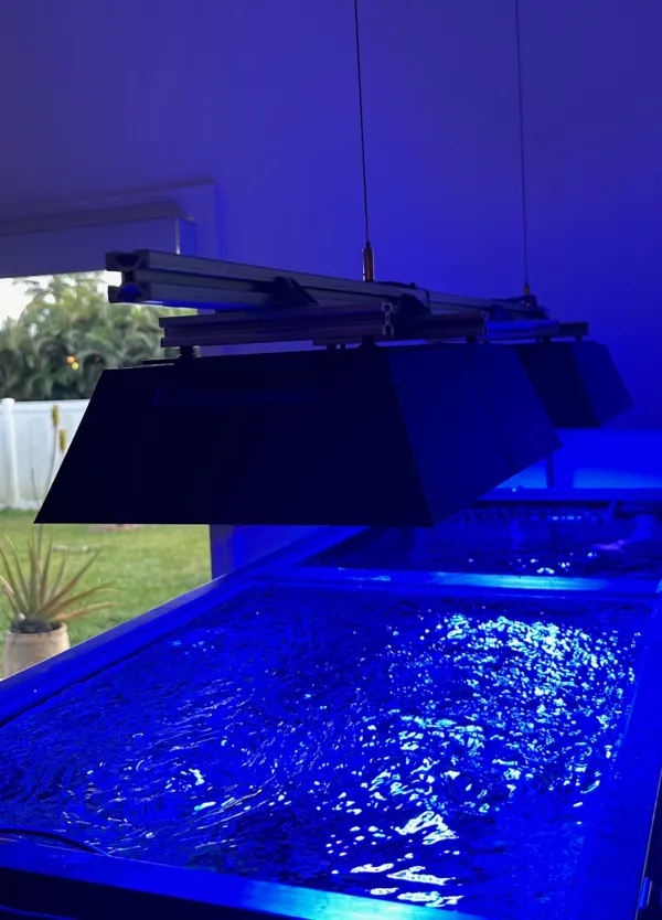 https://makerworld.bblmw.com/makerworld/model/US2c8d67dbf2c547/design/2024-02-15_624765a3a11a1.jpg