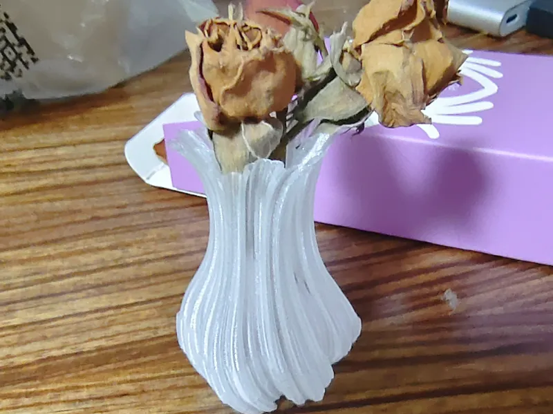 科赫花瓶small