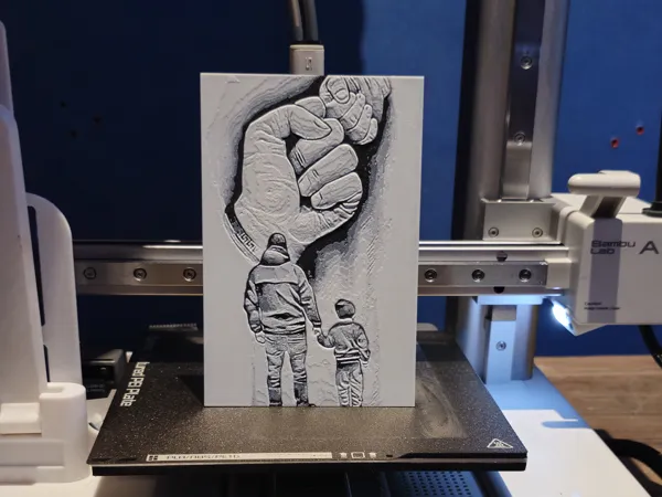 https://makerworld.bblmw.com/makerworld/model/US2c8fc37721f40a/design/2024-08-16_b64d303b5d7b5.jpg