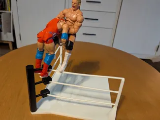 Wrestling Ring Corner Diorama