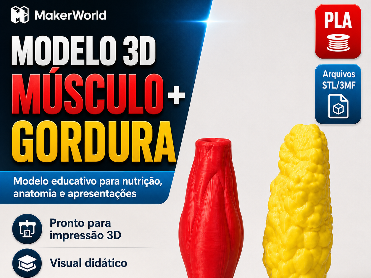 Músculo + Gordura | Modelo Anatômico Educativo 3D