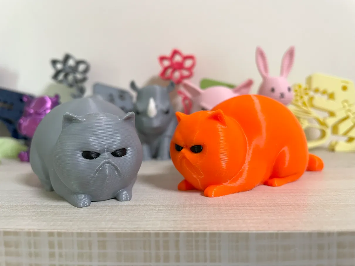 Angry Little Fat Cat view 3