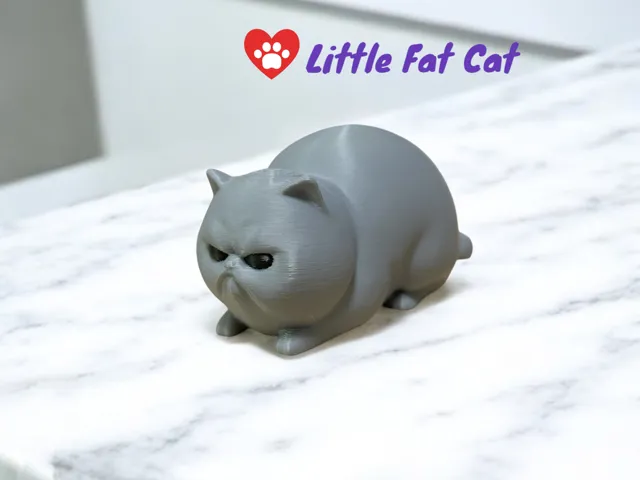 Angry Little Fat Cat