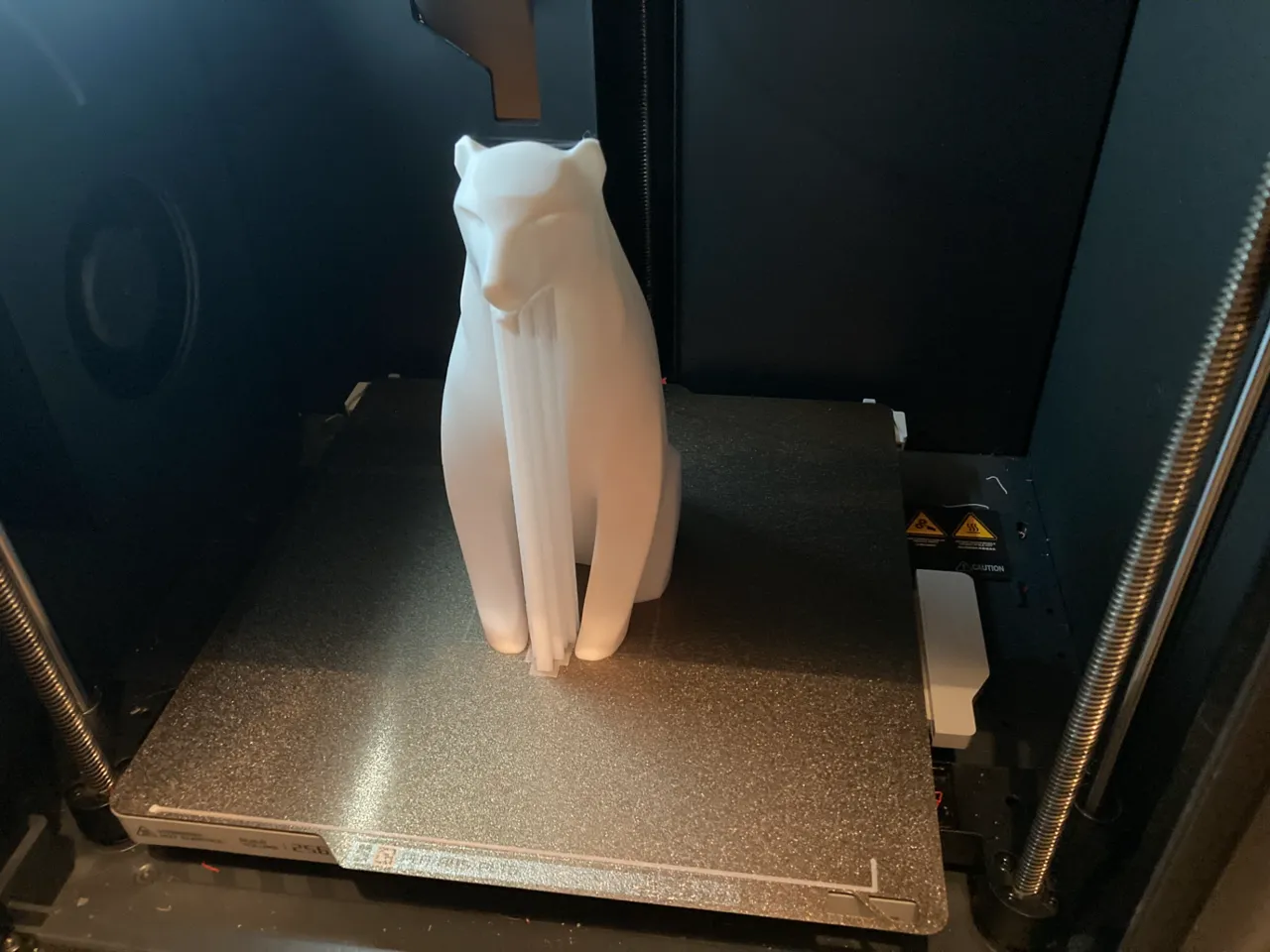Polar bear view 4