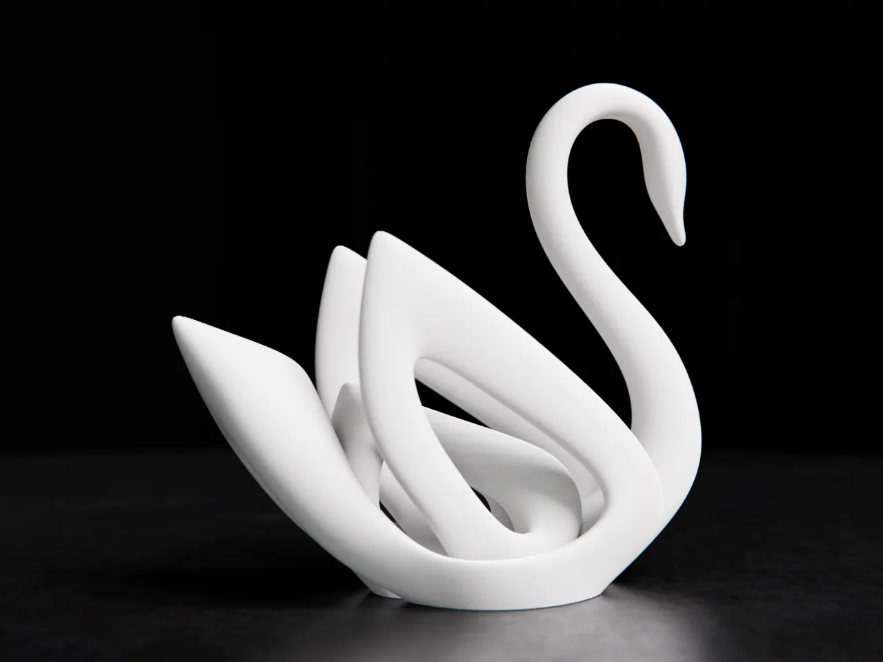Swan view 2