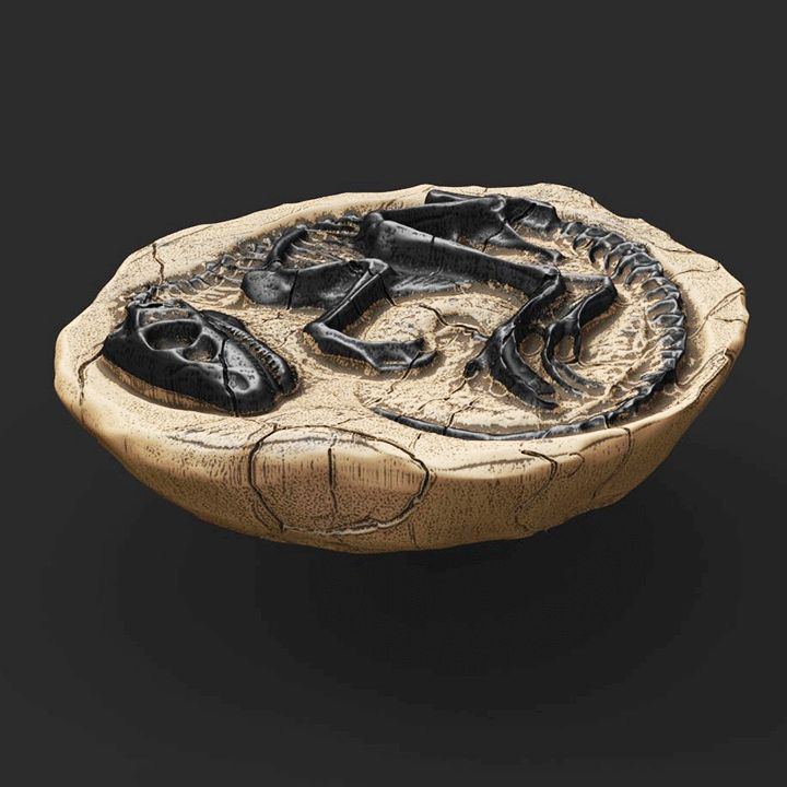 Dinosaur Reconstruction: Small Theropod Fossil